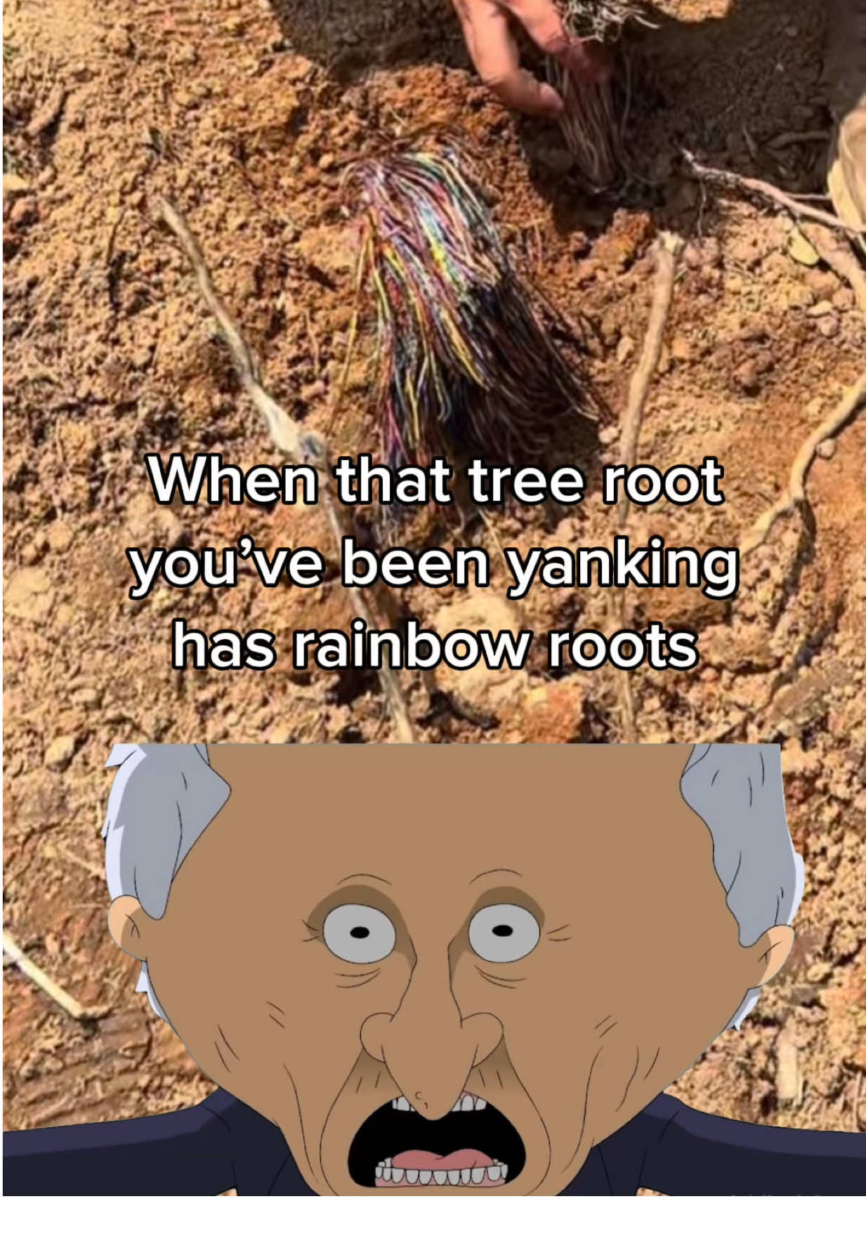 I didn’t know some trees have rainbow roots #poorpumpersociety #septictank #draingang 