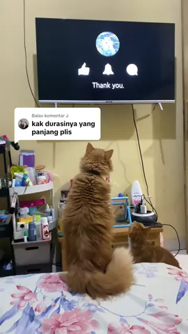 Membalas @J Mika lebih suka liat burung burungan daripada bluey kak 