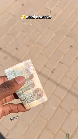 .manyways to kill a lion 💀😝🔥 #universityofbotswana🇧🇼 #biuststudent #botswanatosouthafrica🇧🇼🇿🇦tiktok #flypシ #SAMA28 