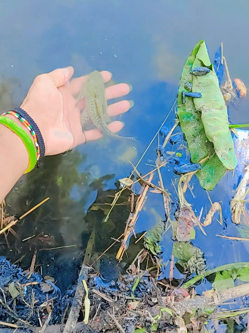 #munnapatel1136 #foryoupageofficiall❤️❤️tikto💖💖💖💖💖💖💖 #viral?videotiktok😇😇 #highlight #thisvideo 