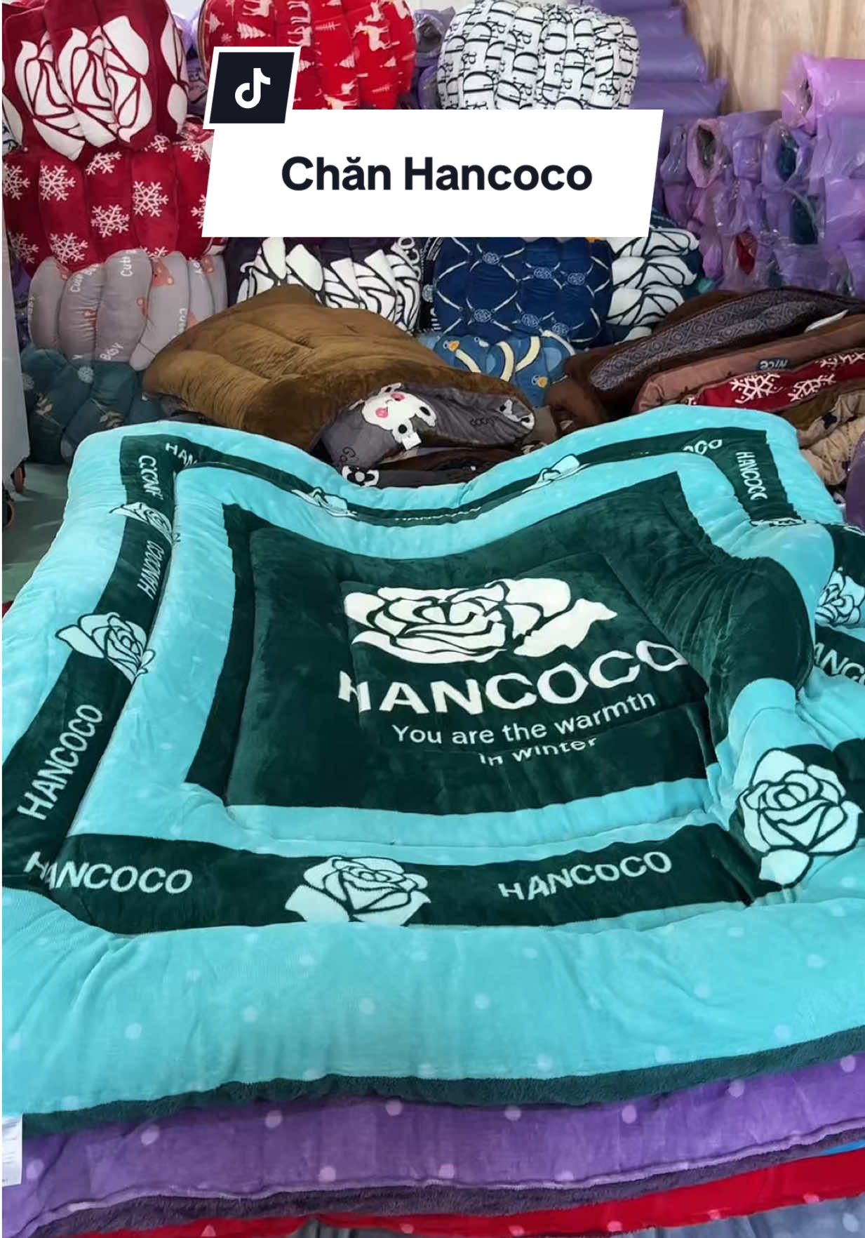 Mới về bác ơi #haohomhinh #chancoco 