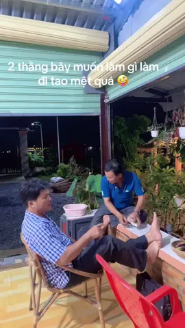 #hai thằng bây muốn làm gì làm đi 🤣#xuhuong #haihuoc #LearnOnTikTok #🤣🤣🤣🌺🥰🌺🥰🌺❤️🌹🌼🌿 