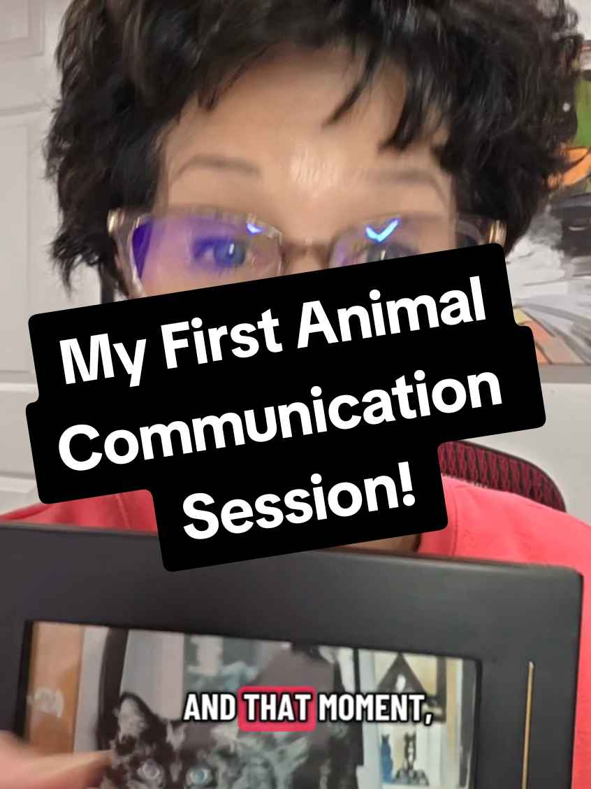 I thought it was just a session to better understand my cat. But in 2013, Fuligan helped me remember who I really was. This is how I reawakened my intuitive connection—and how you can too . #animalcommunication 