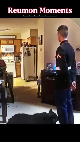 #positive #respect #foryou #soldiercominghome #fypシ゚viral #loveyou #meetagain #cuddle 