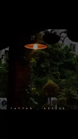 Feel This Lyrics Song ❤️‍🩹🕊️#Repost #Request #aesthetic_video #lyrics_songs #unfreezemyaccount 