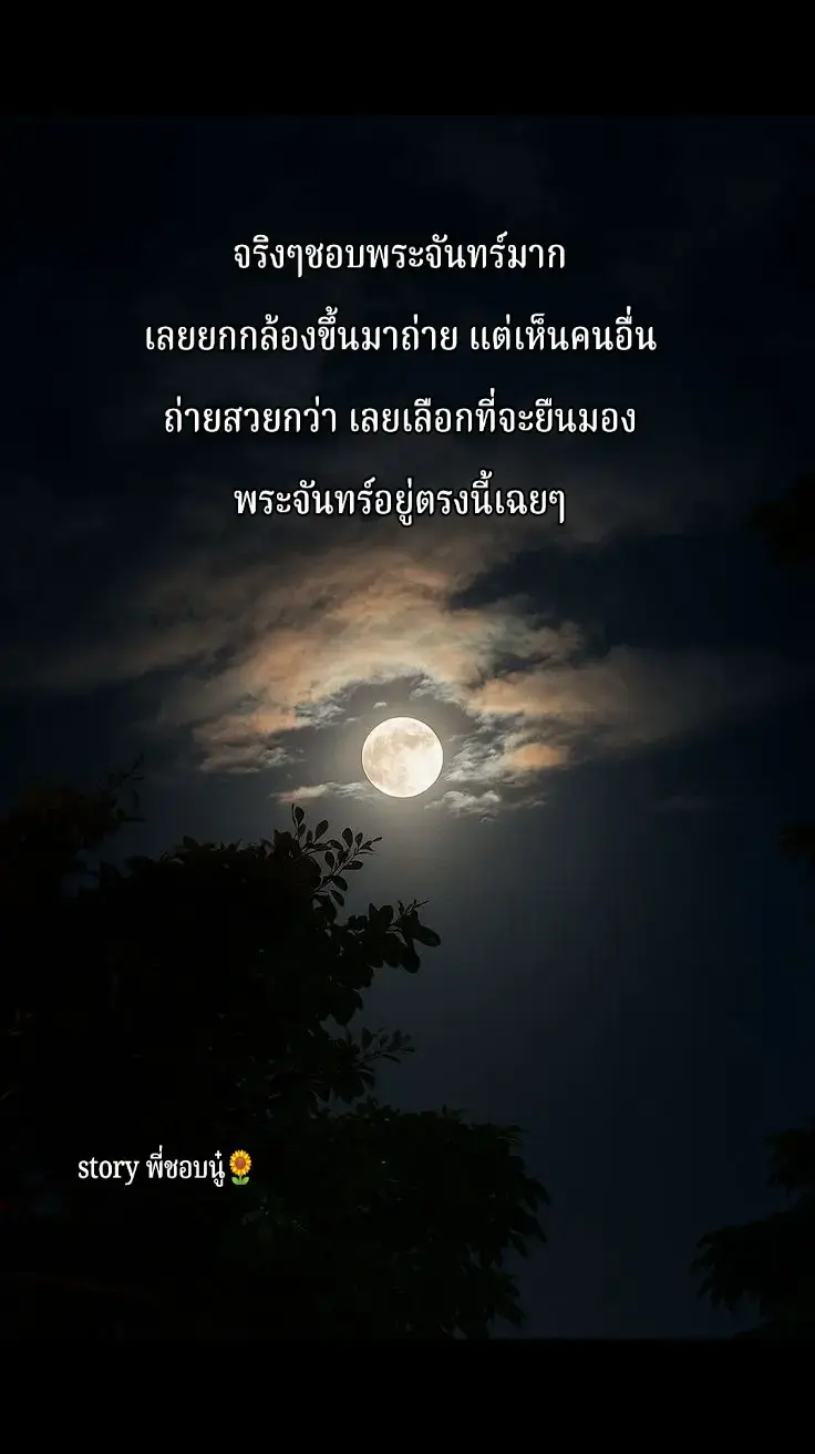 #ฉันมันดีได้แค่นี้ #เธรดเศร้า #สต #ฟีดดดシ 