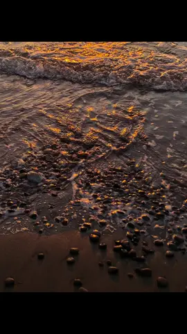 #india 