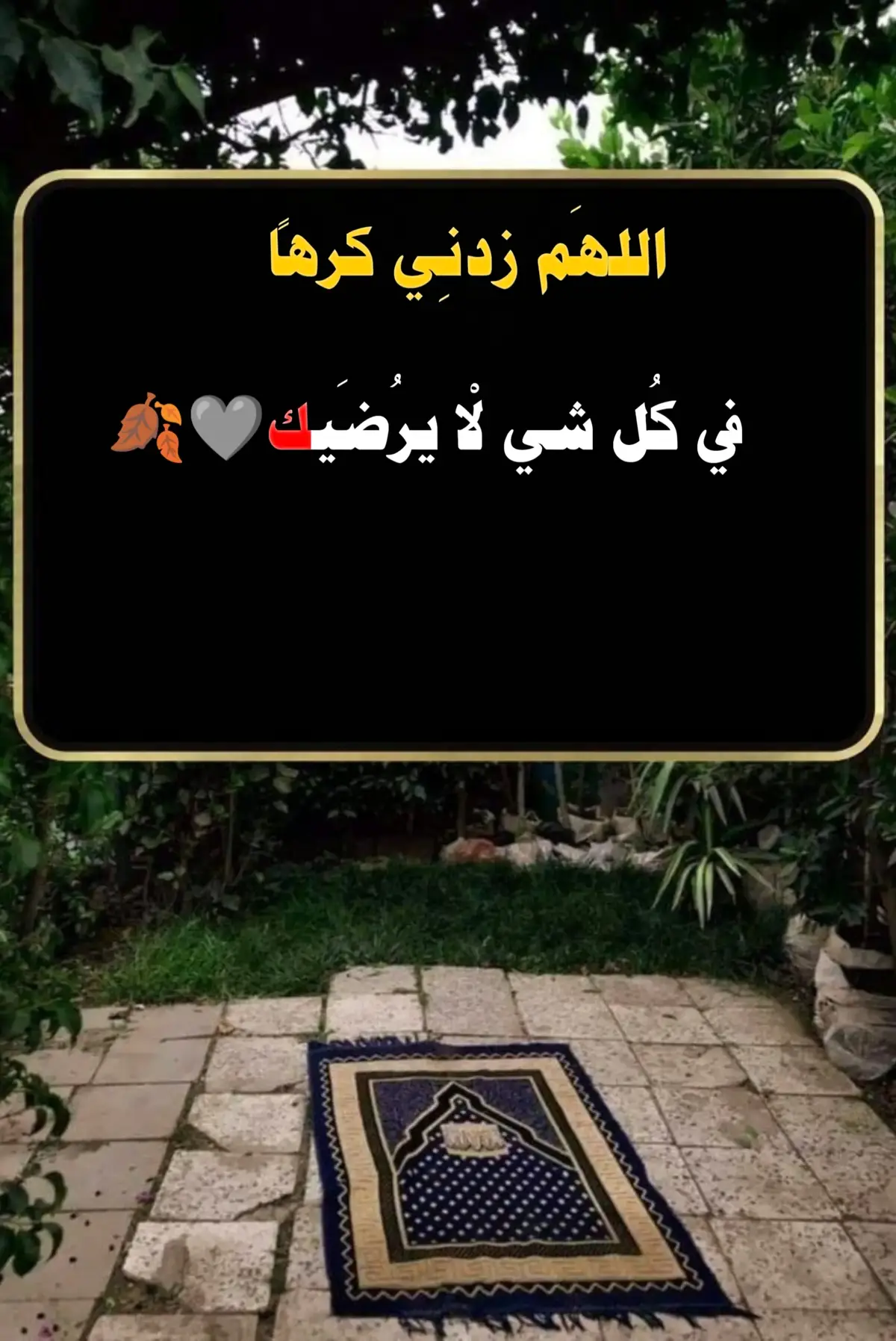 #سوريا_تركيا_العراق_السعودية_الكويت_عمان #تصميمي_رايكم 