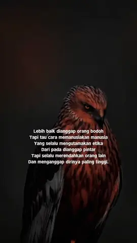#kata 