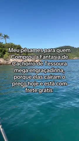 #viral #tiktokshop #pet #fy 