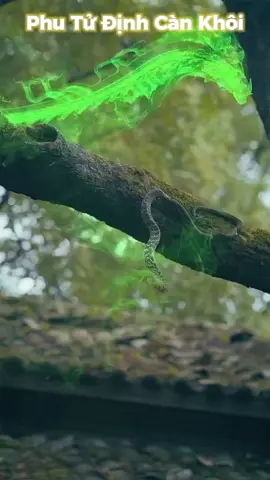 Phim hay xu hướng #1 