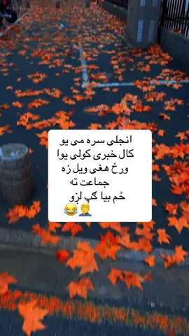🤭😂😂