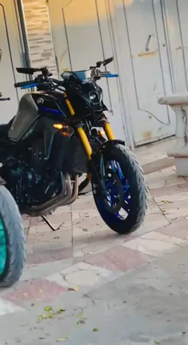 #شعب_الصيني_ماله_حل😂😂 #tik_tok #algeria #Yamaha #biskra🔥🌴 