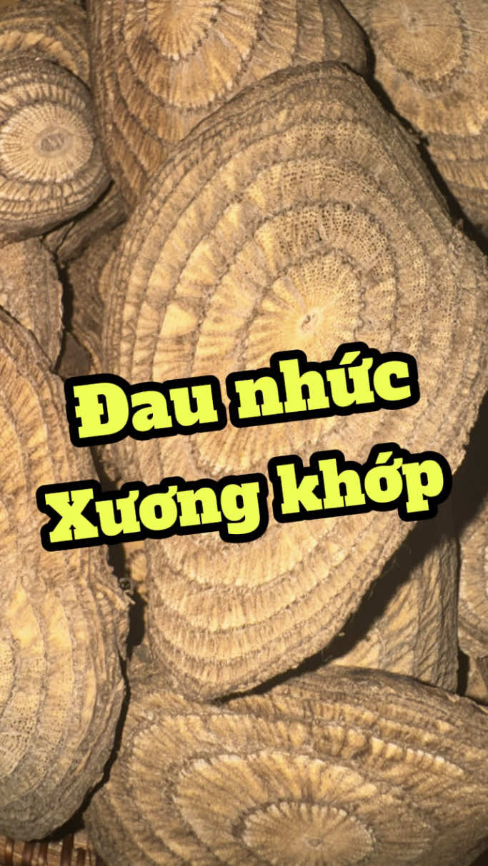 Resveratrol trong cây Gắm: Giải Pháp Cho Người Gout - Đau Xương - Nhức Khớp. #duocsilenghia #gout #xuongkhop #daygam 