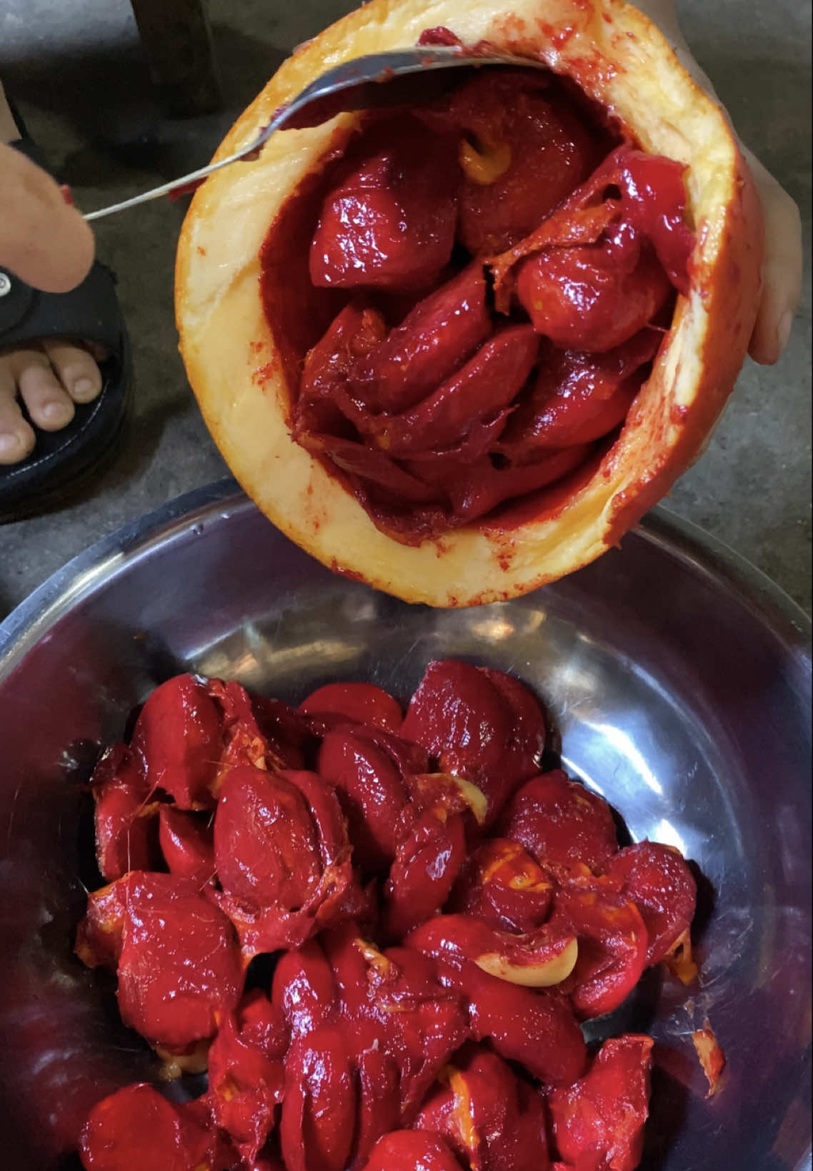 Cách làm xôi gấc của người miền núi có gì đặc biệt #mathingoan #cuocsongmiennui #LearnOnTikTok 