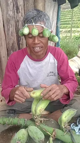 🤣 #fyptiktok  #videolucu 