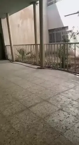 مدرسه الشهيد السيد محمد باقر الصدر 💔