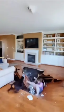 Cleaning chandeliers revealed unstable flooring #dog #pet #fyp #viral #meme 