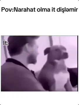 İt+İt🗿🗿🗿#🗿 #keşfetbeniöneçıkar #keşfetedüş #fyppppppppppppppppppppppp #fypシ゚viral🖤tiktok #🖤 #tutdaala🥴#tutdaala🥴🌹 #tutdala🖤📌#tutdaala🥴  #kesfetteyizz