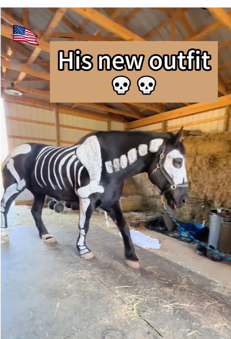 Horses' Hilarious Moments You'll Never Forget🤣🐎#fyp #funny #pet #cute#foryou#Horses#funnyHorses#funnytiktok #Horsesoftiktok#usa🇺🇸 #usatiktok #tiktok 