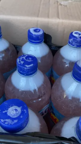 Gak super garansi uang kembali, yang minat langsung dm #tuaklombok #lombok #tuakaren #mataram 