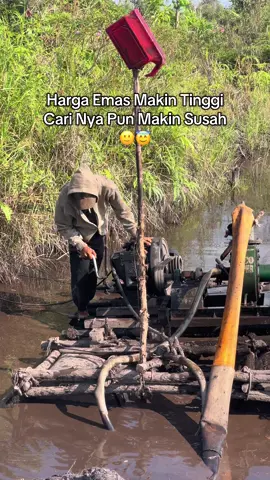 #storywa #katakata #tambangemas #fypシ゚viral 