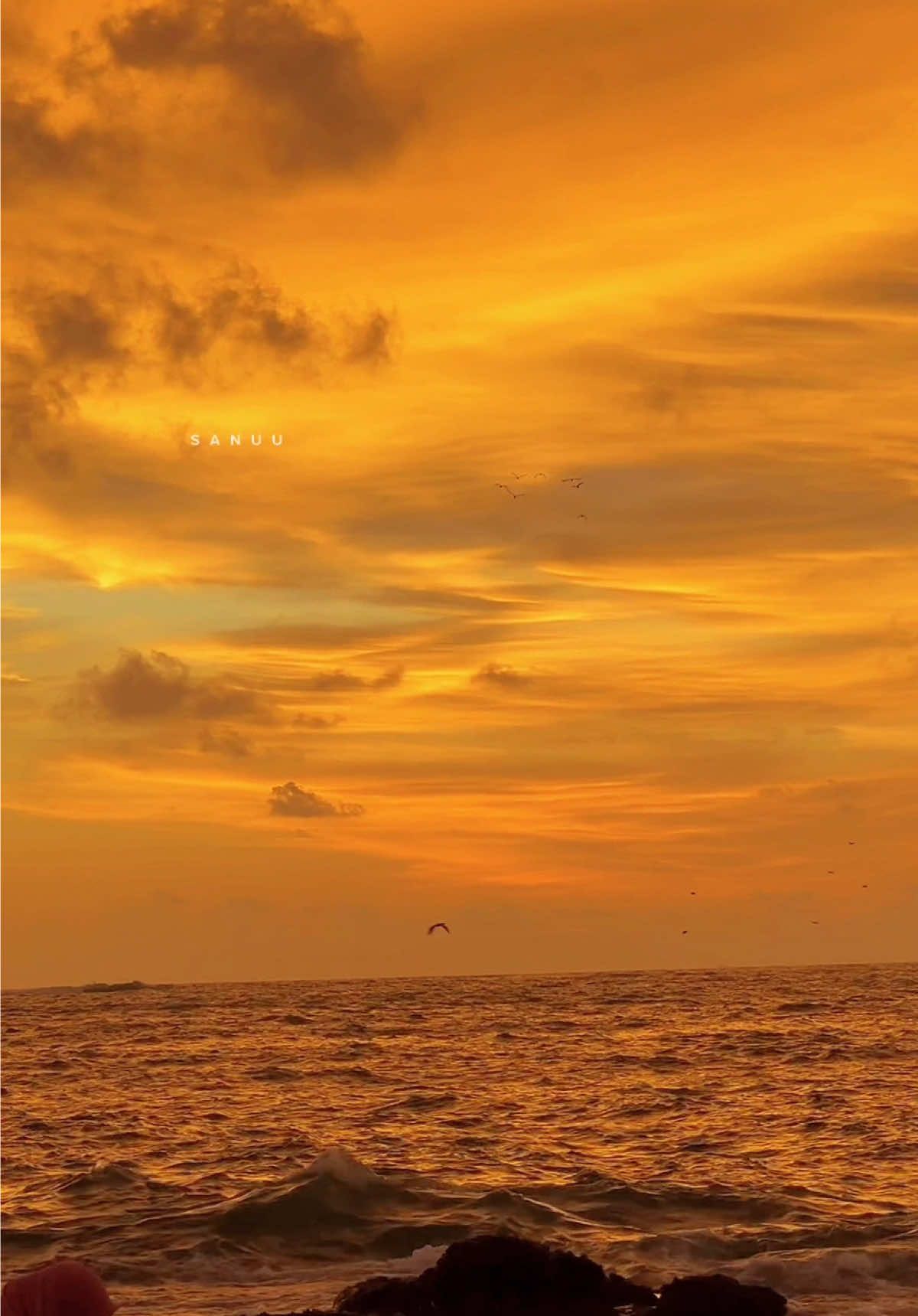 අපෙ ඇසුරේ කෙලවර සොයනා...!!🩶#foryou #fyp #sunset #sunsetlover 
