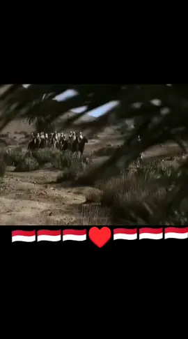 #اكسبلور #