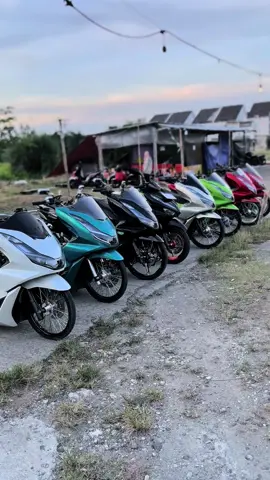 Penghuni vida😁#btg #pcx160ล้อ17แต่งสวย #pcxmodifikasi #foryoupage 