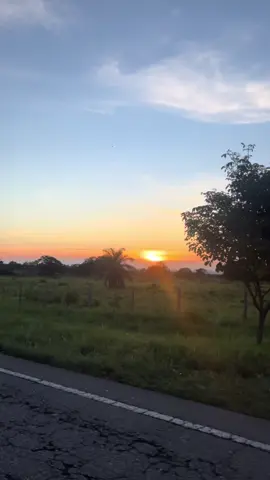 #LIVEIncentiveProgram #JustGoLIVE #PaidPartnership 