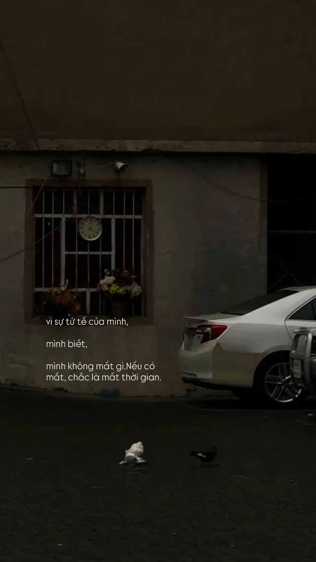 vì sự tử tế của mình, mình biết, mình không mất gì. Nếu có mất, chắc là mất thời gian. #viral 