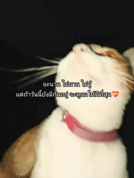@ดอลอินเลิฟ💫 #รักแฟน💝 