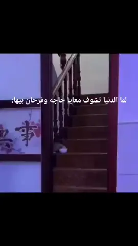#حزن  #fyppppppppppppppppppppppp #ــ٨ــــــہہـ٨ـــــ💔ــــہہہـ٨ـــــــہہـ💔🖤 