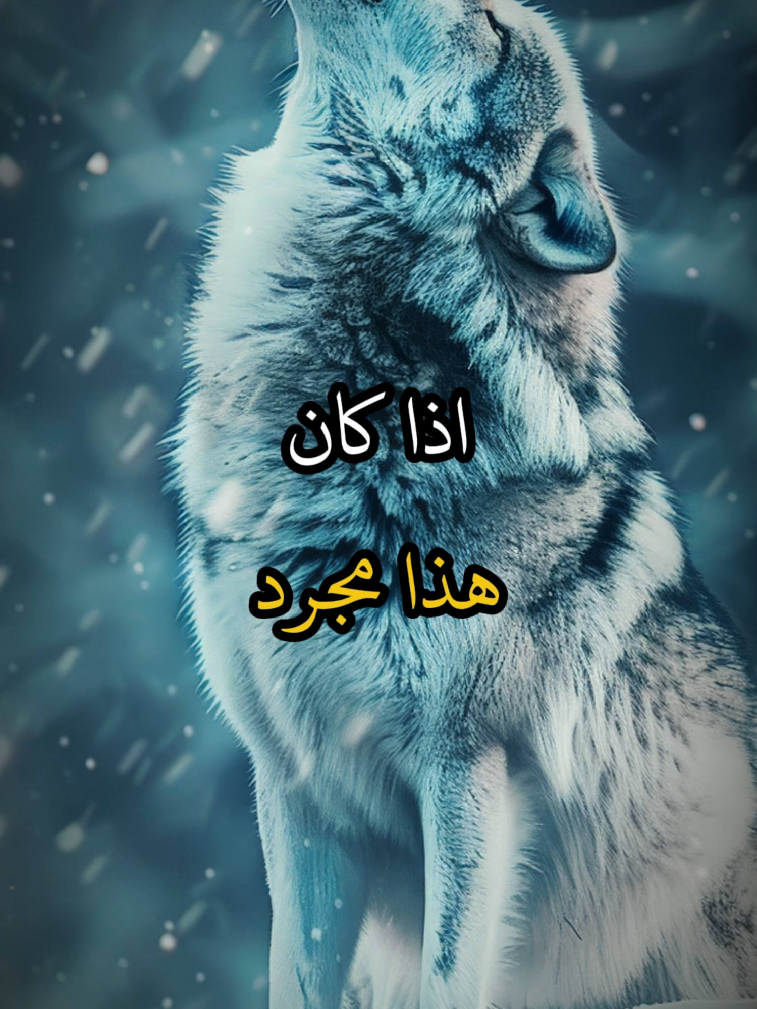 اجمل كلام معبر عن ما بداخلك #اقتباسات #حكمة #خواطر #اكسبلور #نجاح #علم_النفس #تطوير_الذات #كلام_من_ذهب #اطمئن #اقتباسات_عبارات_خواطر #تحفيزات_إيجابية #اللهم_صل_وسلم_على_نبينا_محمد #fyp #explore #viral_video #psychology #motivation