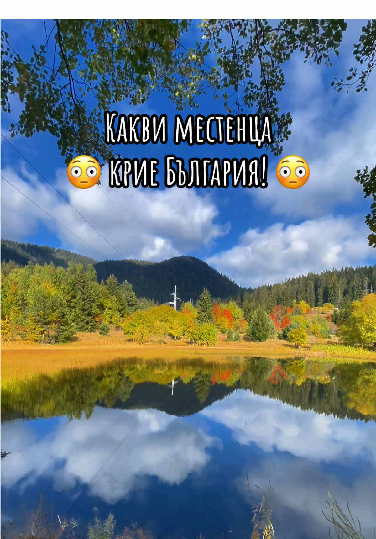 Пъстра тишина  #българия #есен 