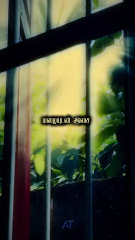 மழையுடன் இசை ! 🎵🌧️✨ . . . #CapCut #tamil #fyp #nilavevaa #mohanhits 