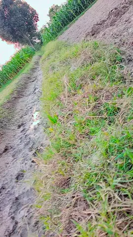 #🥰🥰🥰🥰🥰 