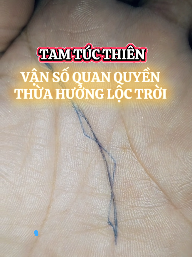 Thông Minh, Sáng Trí, Phúc Lộc Tiên Thiên #xemtuongchitaychuyensau #xuhuong #xemtuongbantay #giaitri 