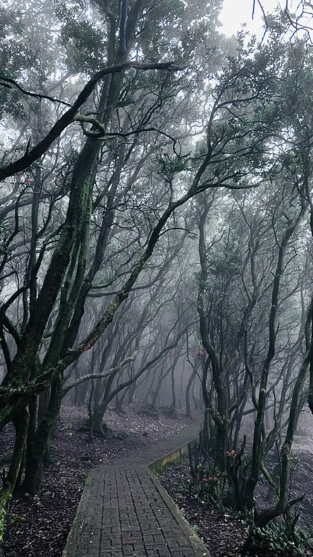 peaceful, safe, and calm