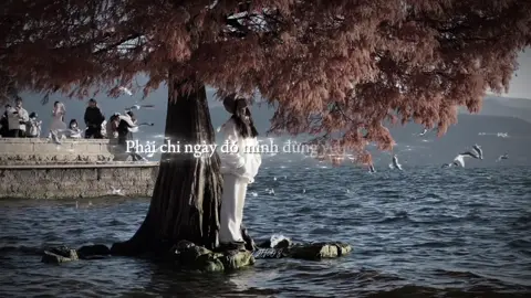 Phải cố mạnh mẽ nhìn người ra đi...!#fyp #lyrics #09th02_8 #thinhhanh #tamtrang 