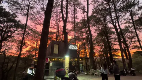 When @Nonno Guido's Ristorante meet the sunset #nonnoguidosristorante #fyp 🌅🍃