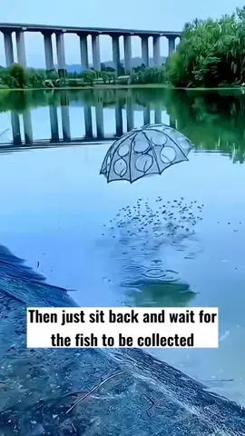 Fishing cage. Very useful para sa ating mga mangingiada🎣#fishingcage #mangingisda 