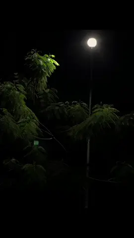 rodo loro tapi rpp. #sikep #comingsoon @Ndarboy Genk 