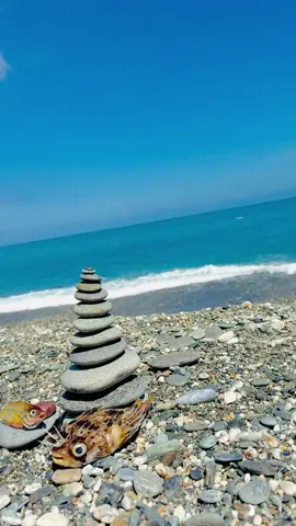 Ra can di em😁#hualian #越南人在台灣🇻🇳🇹🇼 