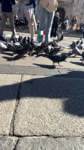 #italy🇮🇹 #TaHa🌸 