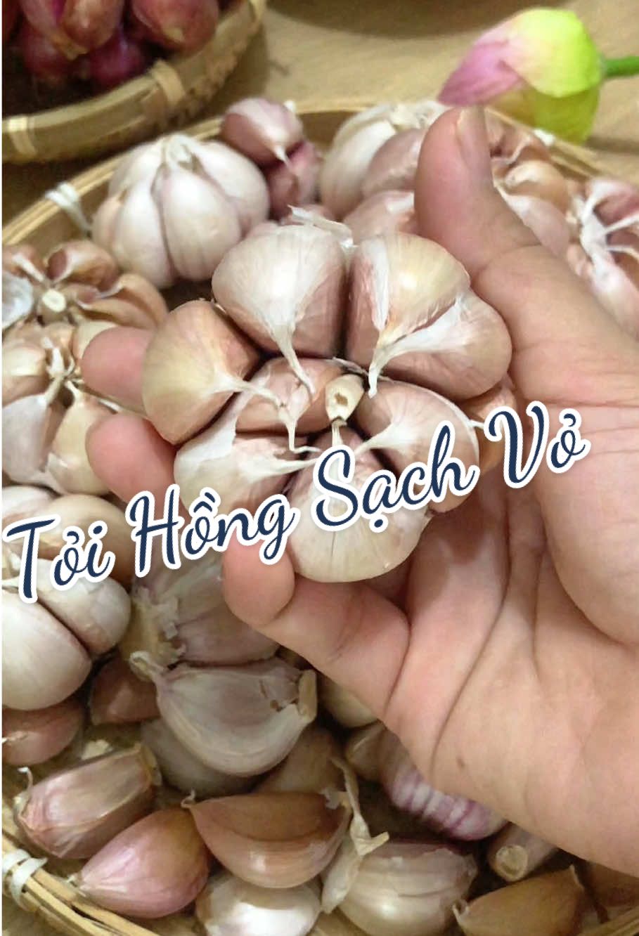 Tỏi Hồng đã làm sạch vỏ! #cooking #thichnauan #ancungtiktok #viral 