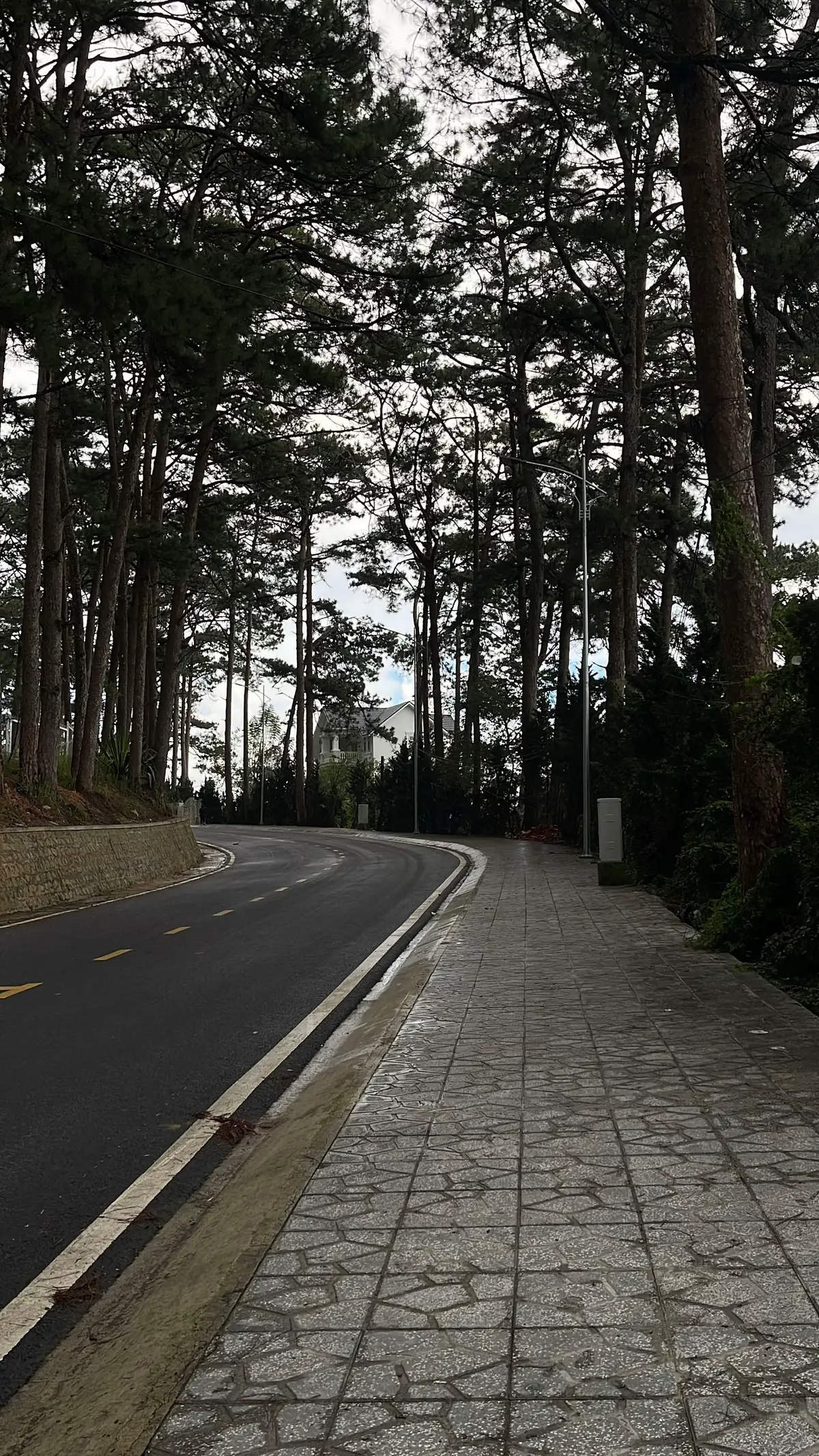 #dalat tôi iu đà lạt 