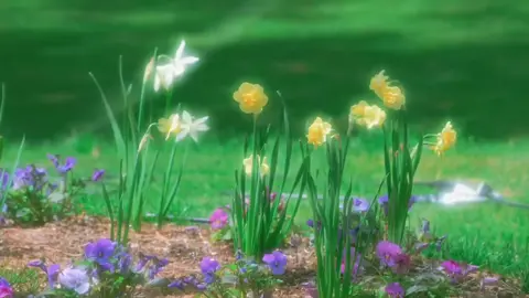 Chúng ta không đánh mất nhau,chỉ là lạc nhau ở một nhịp trưởng thành..  🍃 #hoa #yenbinh #chualanh #thiennhien 