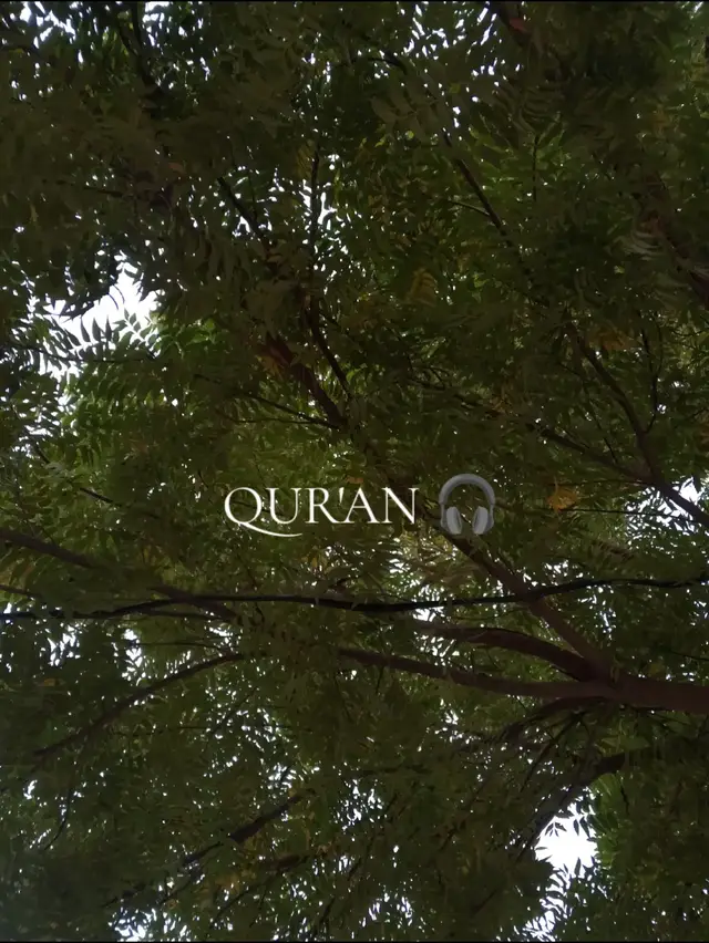 #quran 