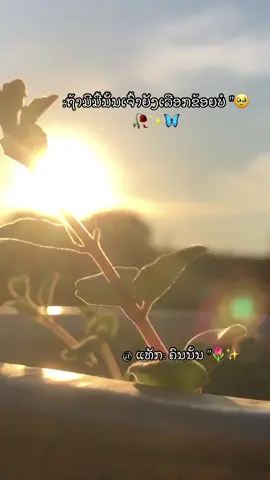 #ขึ้นฟีดไครบ้างเนี่ย🥹🙏🥀 #ขึ้นฟีดไครบ้างเนี่ยย🥺🦋💗 #สตอรี่ม้ง🦋✨ 